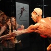 BODY WORLDS kiállítás az Etele Pálázában! Jegyek itt!