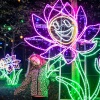 Garden of Lights Fénykert Budapesten a Fűvészkertben! Jegyek itt!